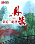 丹朱小说