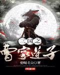 三国之曹家逆子百科