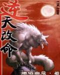 逆天改命什么意思
