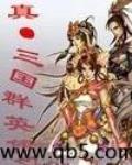 三国群英传7秘籍完整版