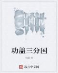 功盖三分国名成八阵图