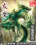 龙脊菩提是啥材质