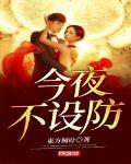 今夜不设防国语版