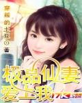 极品仙妻爱上我 小说