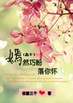 嫣然巧盼落你怀简介