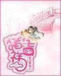 猪吉祥数字与幸运数字