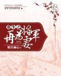 重生之再为将军妻小说全文免费阅读