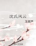 沈氏风云玉葫芦