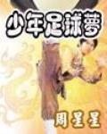 少年足球梦作文