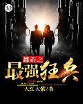 都市之最强狂兵