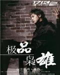 极品枭雄木头脑txt
