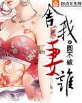 舍我妻谁小说