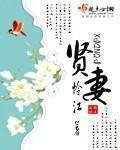 贤妻扶我凌云志上岸先斩意中人什么意思