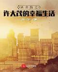 四合院之许大茂的幸福生活小说