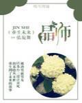 重生未来之晶师 小说