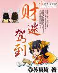 财迷驾到 小说