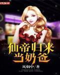 仙帝归来当奶爸叶无双