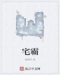 宅霸骑士战争服务器怎么领地皮