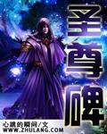 圣尊碑txt