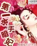 第一杀手暗妃百度云