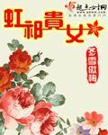 虹祁贵女txt百度云