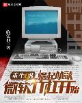 崛起从敲微软竹杠开始 临江仙