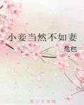 小妾当然不如妻书籍