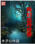 十三区