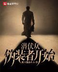潜伏从伪装者开始小说