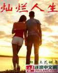 灿烂人生
