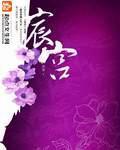 宸宫小说