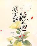 寂寞的鲸鱼txt 百度网盘