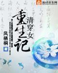 清穿女重生记 小说
