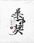朱城九门门久开 愿逐明月入君怀