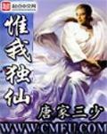 唯我独仙境界划分
