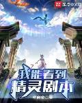 我能看到精灵剧本小说