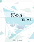 野心家