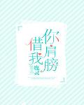你肩膀借我百度云txt
