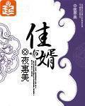 佳婿什么意思
