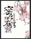 密妃在清朝好看吗