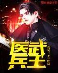 医武兵王
