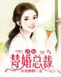 错嫁替婚总裁小说