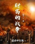 财富的战争小说风纪