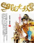 御龙无双小说