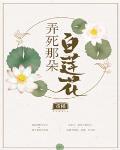 弄死那朵白莲花 重槿
