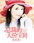 总裁的天价宝贝全文免费阅读