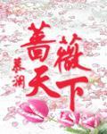 蔷薇天下讲的什么