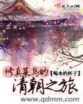 修真菜鸟的清朝之旅 小说