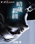 暗藏杀机的机的意思