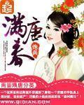 满唐春 炮兵 小说